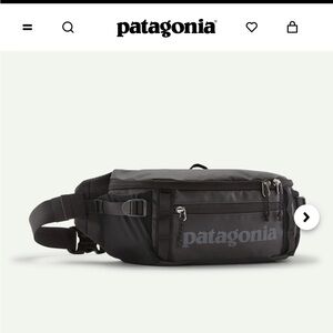NWOT Patagonia Black Hole® Waist Pack 5L